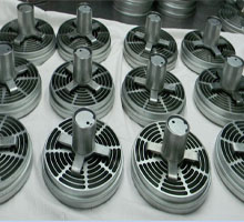 Valve Assemblies Suction & Delivery